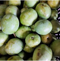 Moovandan Mango (from Kerala)